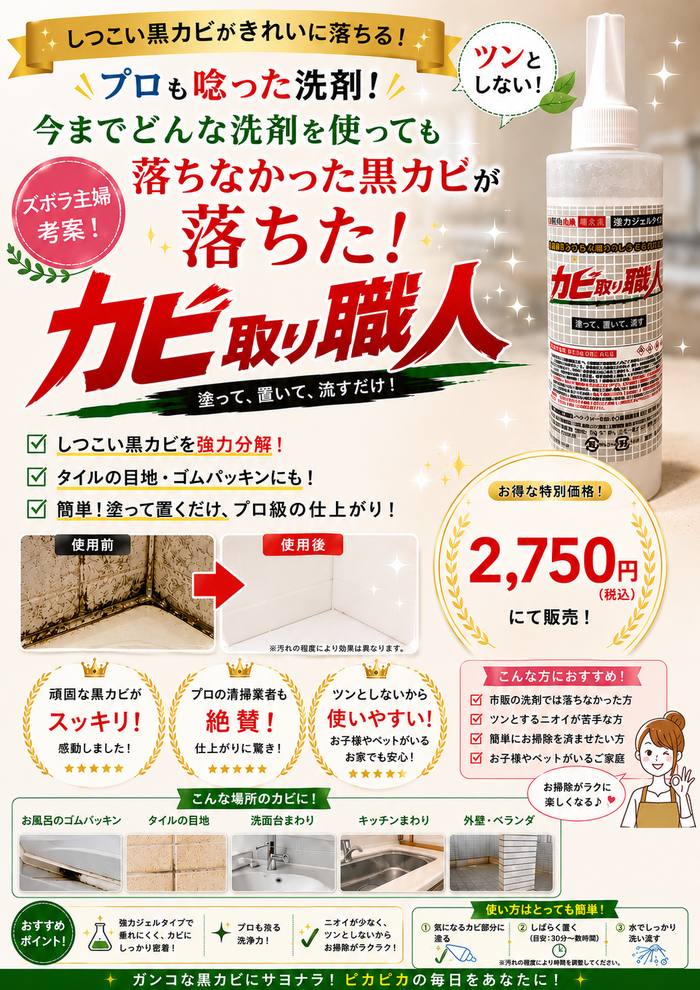 カビ取り職人 商品パッケージ